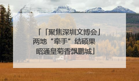 「聚焦深圳文博会」两地“牵手”结硕果 昭通皇菊香飘鹏城